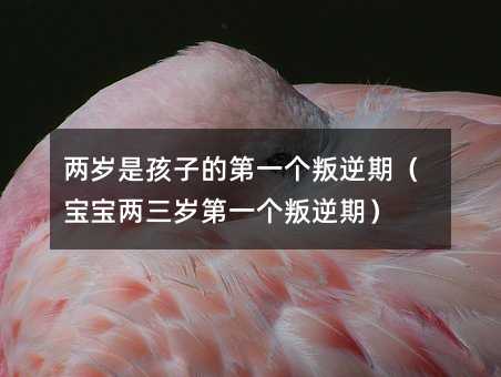 �����Ǻ��ӵĵ�һ�������ڣ������������һ�������ڣ�