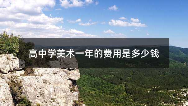 高中学美术一年的费用是多少钱