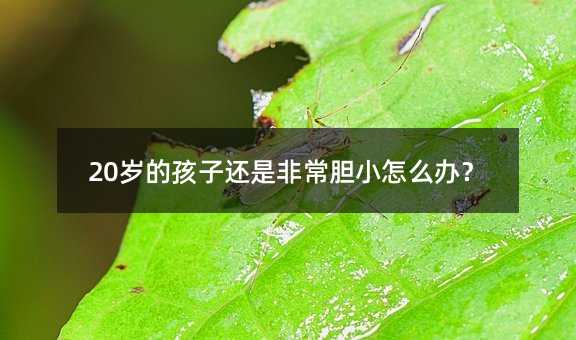 20岁的孩子还是非常胆小怎么办?