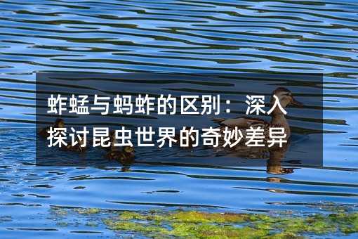 蚱蜢与蚂蚱的区别:深入探讨昆虫世界的奇妙差异