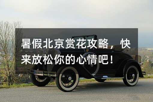 暑假北京赏花攻略,快来放松你的心情吧!