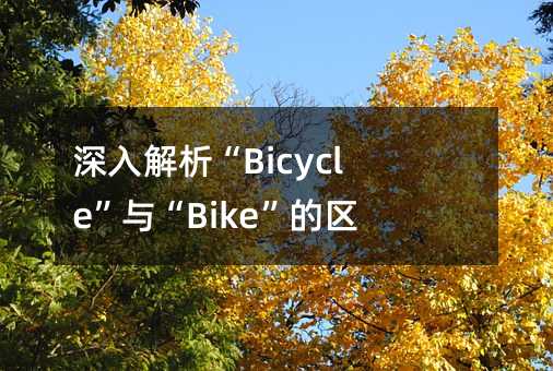 深入解析“Bicycle”与“Bike”的区别及应用