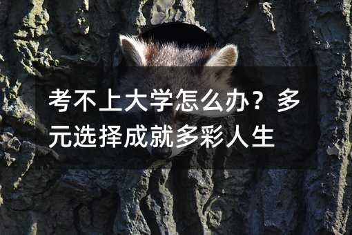 考不上大学怎么办?多元选择成就多彩人生