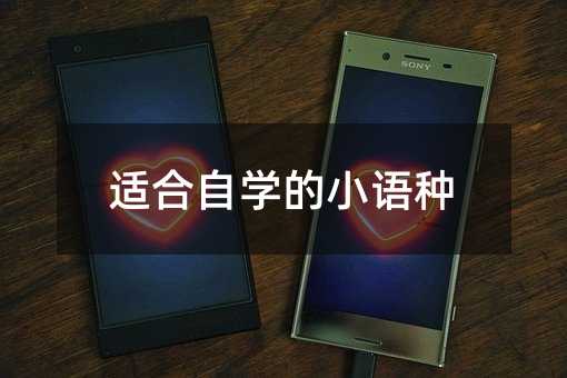 适合自学的小语种