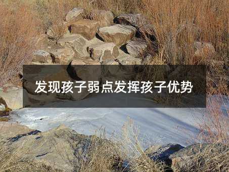 发现孩子弱点发挥孩子优势