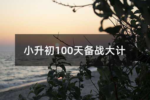 小升初100天备战大计