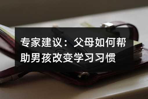 专家建议:父母如何帮助男孩改变学习习惯