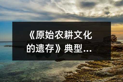 《原始农耕文化的遗存》典型练习