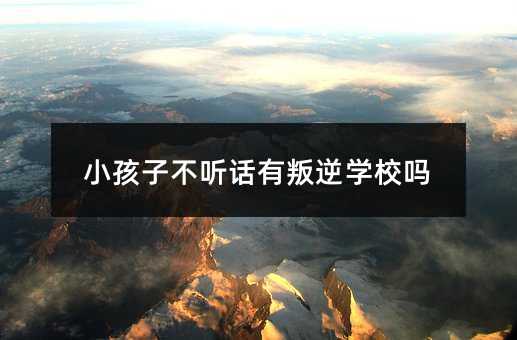小孩子不听话有叛逆学校吗