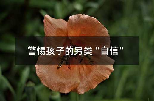 警惕孩子的另类“自信”