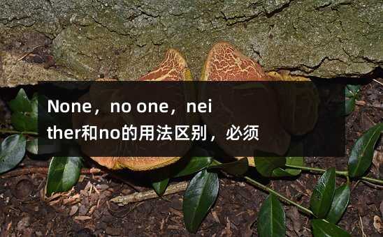 None,no one,neither和no的用法区别,必须掌握的8个知识点