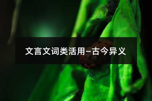 文言文词类活用—古今异义