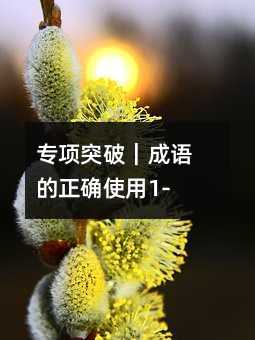 专项突破|成语的正确使用1-32