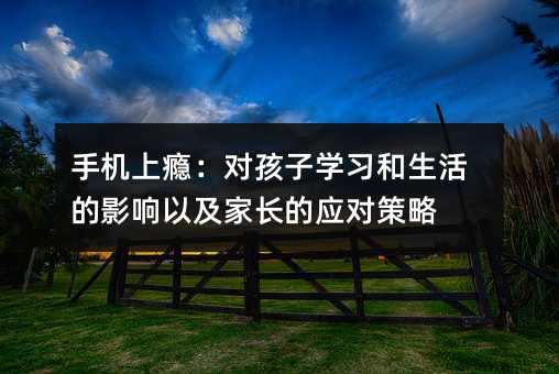 手机上瘾:对孩子学习和生活的影响以及家长的应对策略