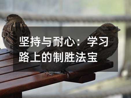 坚持与耐心:学习路上的制胜法宝