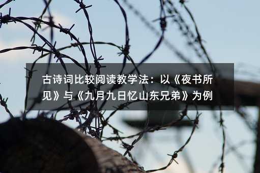 古诗词比较阅读教学法:以《夜书所见》与《九月九日忆山东兄弟》为例