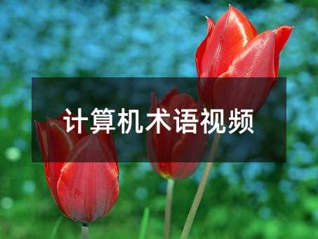 计算机术语视频