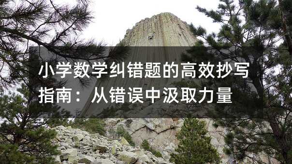 小学数学纠错题的高效抄写指南:从错误中汲取力量