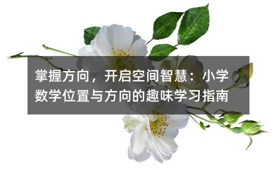 ���շ��򣬿����ռ��ǻۣ�Сѧ��ѧλ���뷽���Ȥζѧϰָ��