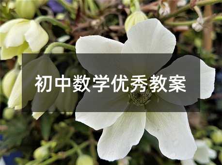 初中数学优秀教案