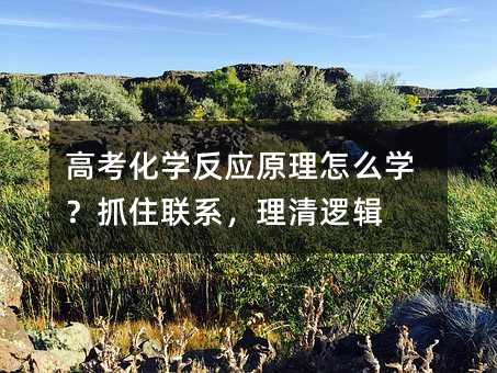 ߿ѧӦԭôѧץסϵ߼