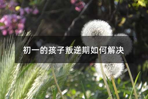 初一的孩子叛逆期如何解决