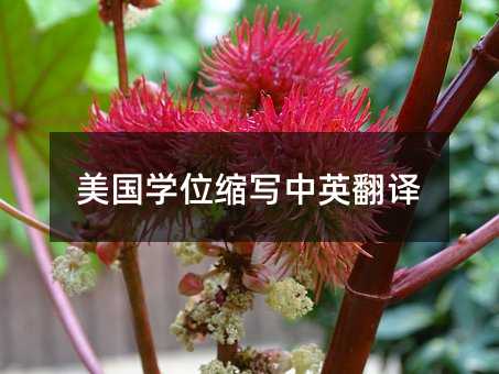 美国学位缩写中英翻译