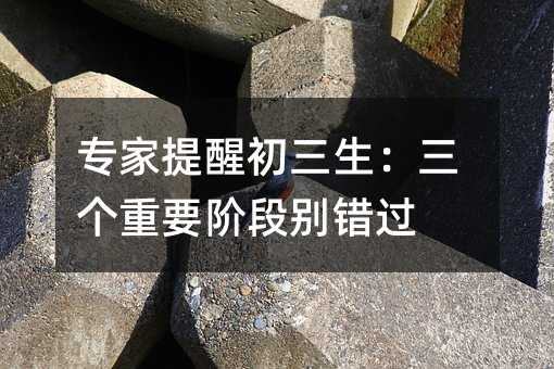 专家提醒初三生:三个重要阶段别错过