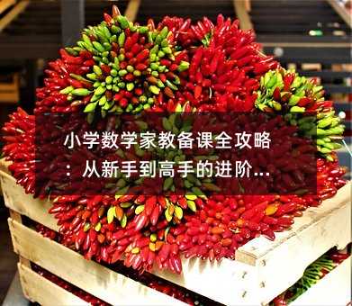 小学数学家教备课全攻略:从新手到高手的进阶秘籍