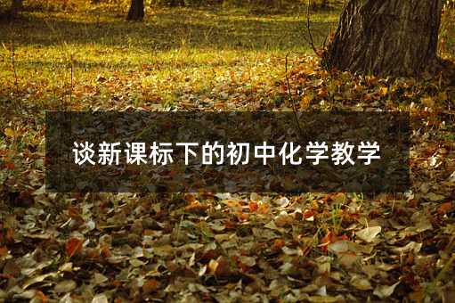 谈新课标下的初中化学教学