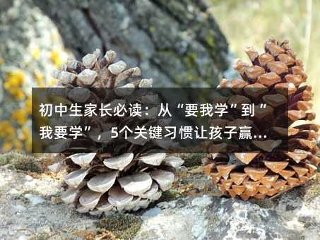 �������ҳ��ض����ӡ�Ҫ��ѧ��������Ҫѧ����5���ؼ�ϰ���ú���Ӯ��������