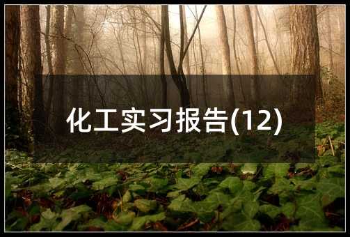 ����ʵϰ����(12)