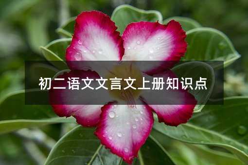 ���������������ϲ�֪ʶ��