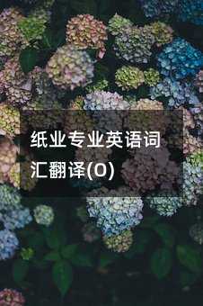 ֽҵרҵӢ��ʻ㷭��(O)