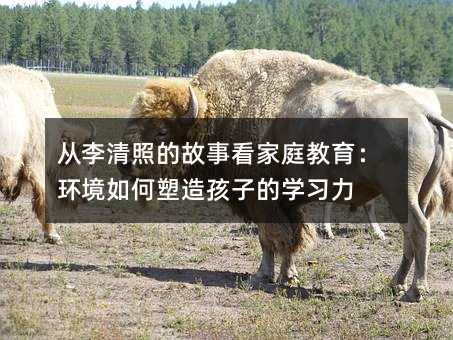 �������յĹ��¿���ͥ����������������캢�ӵ�ѧϰ��