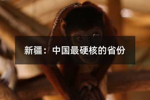 �½����й���Ӳ�˵�ʡ��