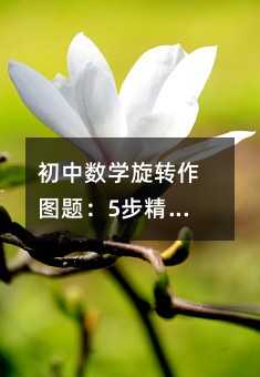 ������ѧ��ת��ͼ�⣺5����׼��ͼ���п��÷ֲ��ٳ�