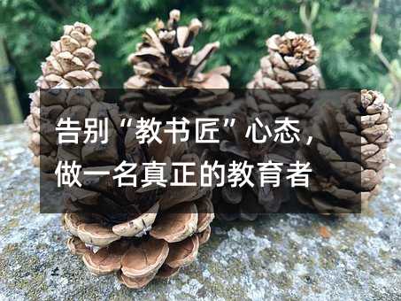 ��𡰽��齳����̬����һ�������Ľ�����