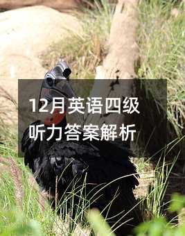 12��Ӣ���ļ������𰸽���