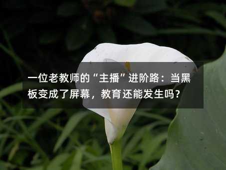 一位老教师的“主播”进阶路:当黑板变成了屏幕,教育还能发生吗?