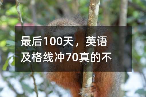 ���100�죬Ӣ�Ｐ���߳�70��Ĳ���