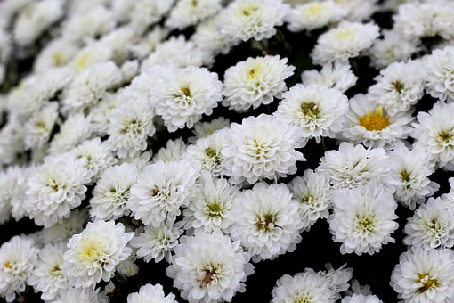 做积极而主动的听者,五个关键点拿下雅思听力高分