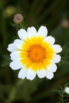 孩子遇到挫折时怎样教育