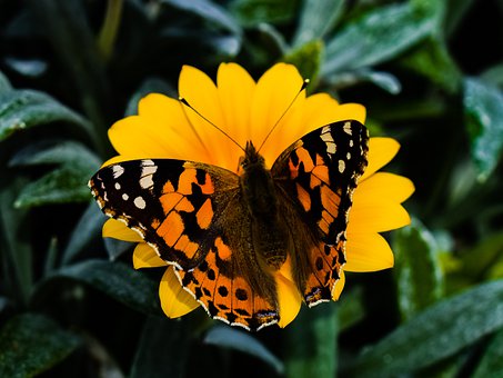 ׽һӢѧϰָνеԪ֪ʶ