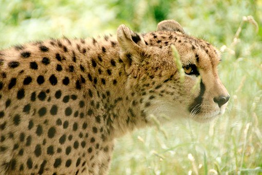 �׽������������ݳ�ѧ�ߵ����͡���ָ������