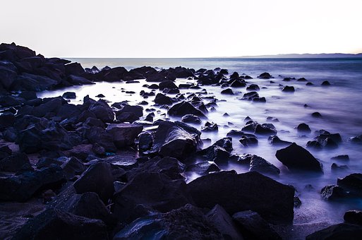 义务教育语文课程标准培训心得