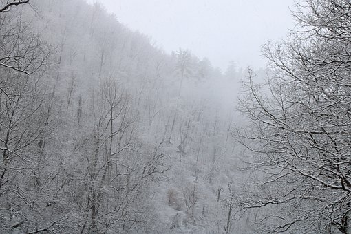 以荒诞解构“严肃”,用冲突建构“反思”