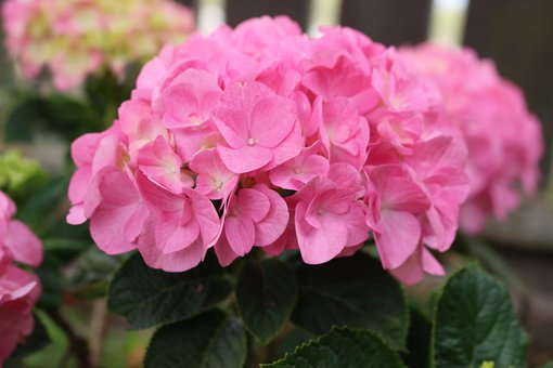 �׽������� Ӣ���ļ��ʻ㸴ϰ����