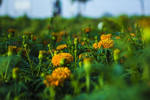 �ҳ���֪���������ӱ����׷������