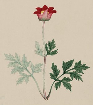 ������ѧ��������ѧϰ�Ļ�ʯ������